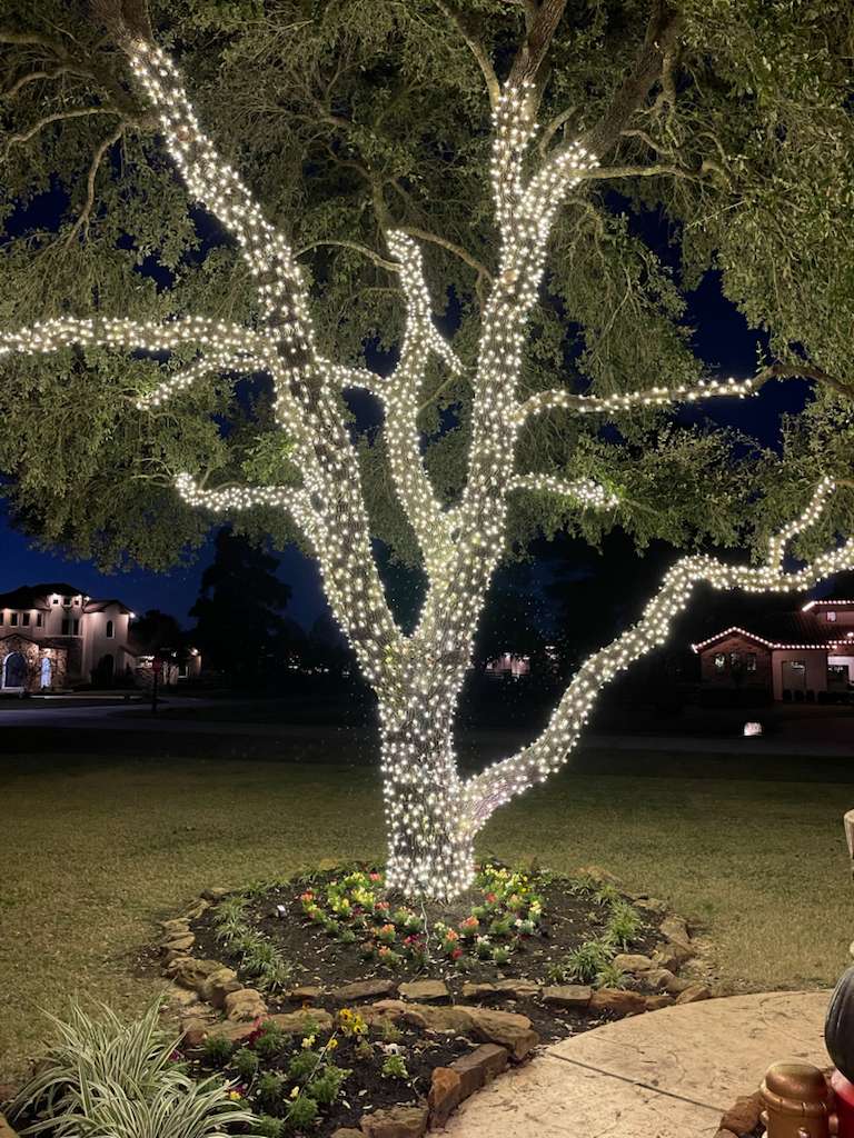Christmas Project 14